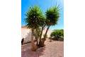 Resale - Vrijstaande Villa - Torrevieja - San Luis