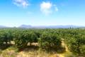 Resale - Wohnung - Algorfa - La Finca Golf Resort
