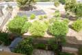 Resale - Wohnung - Cabo Roig - Lomas de Cabo Roig