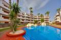 Resale - Wohnung - Playa Flamenca - El Rincon