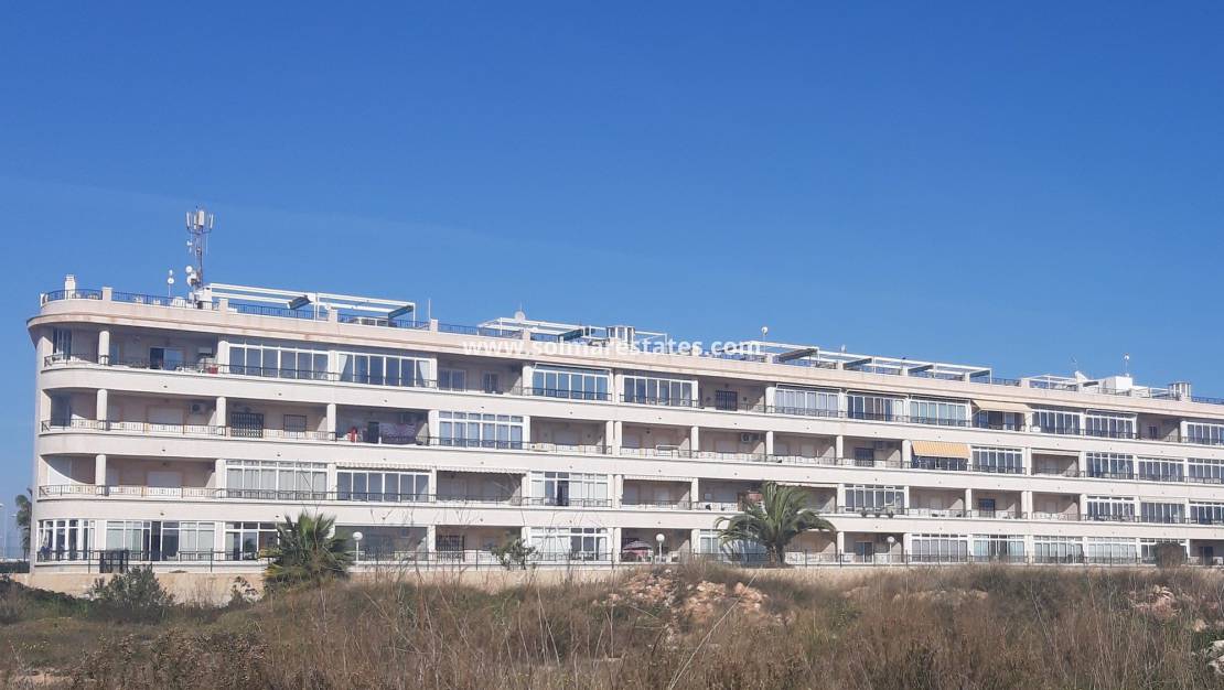 Resale - Wohnung - Playa Flamenca - La Mirada