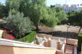Resale - Wohnung - Playa Flamenca - Zeniamar