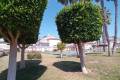 Resale - Wohnung - Playa Flamenca - Zeniamar