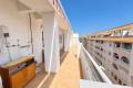 Resale - Wohnung - Torrevieja - Estacion de autobuses