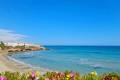 Resale - Wohnung - Villamartin - El Galan