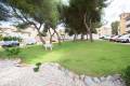 Resale - Wohnung - Villamartin - Pinada Golf