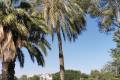 Venta - Apartamento - Campoamor - Campoamor Golf Course