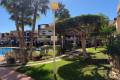 Venta - Apartamento - Playa Flamenca - El Bosque