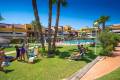 Venta - Apartamento - Playa Flamenca - El Bosque