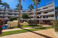 Venta - Apartamento - Playa Flamenca - El Rincon