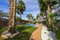Venta - Apartamento - Playa Flamenca - La Calma