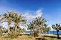 Venta - Apartamento - Playa Flamenca - La Calma