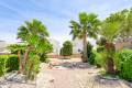 Venta - Apartamento - Punta Prima - La Cinuelica