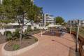 Venta - Apartamento - Villamartin - Los Dolses
