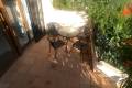 Venta - Bungalow - Algorfa - La Finca Golf Resort