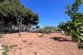 Venta - Bungalow - Torrevieja - El Limonar