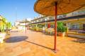 Venta - Casa de pueblo - Playa Flamenca - Las Chismosas