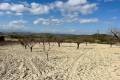 Venta - Plot - Bullas - Costa Calida
