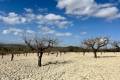 Venta - Plot - Bullas - Costa Calida
