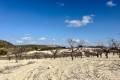 Venta - Plot - Bullas - Costa Calida