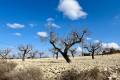 Venta - Plot - Bullas - Costa Calida