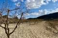 Venta - Plot - Bullas - Costa Calida