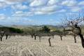 Venta - Plot - Bullas - Costa Calida
