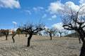Venta - Plot - Bullas - Costa Calida