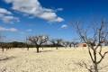 Venta - Plot - Bullas - Costa Calida