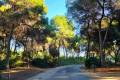 Venta - Villa independiente - Campoamor