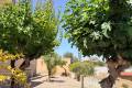 Venta - Villa independiente - Ciudad Quesada - La Marquesa Golf