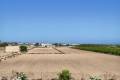 Venta - Villa independiente - Guardamar Del Segura - El Raso
