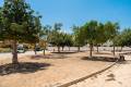 Venta - Villa independiente - Los Montesinos - La Herrada