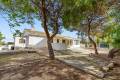 Venta - Villa independiente - Torrevieja - Los Balcones