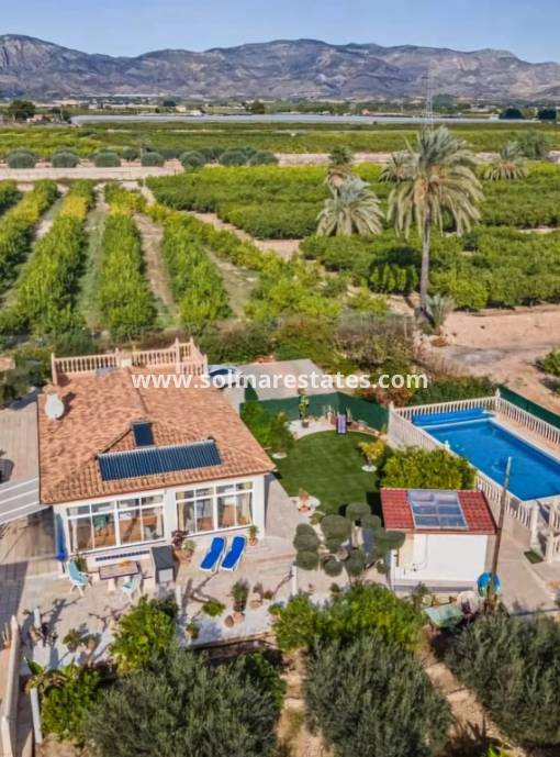 Villa independiente - Venta - Albatera - Albatera