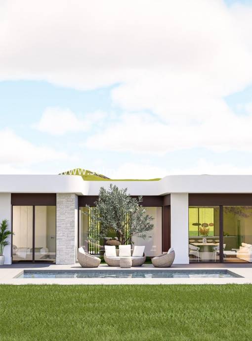 Villa individuelle - Nouvelle construction - Pinoso - Pinoso