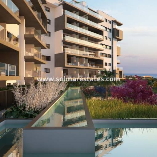 Wohnung - Neubau - Campoamor - N-19822