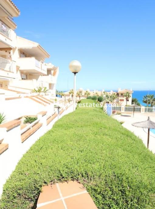 Wohnung - Resale - Cabo Roig - Aguamarina