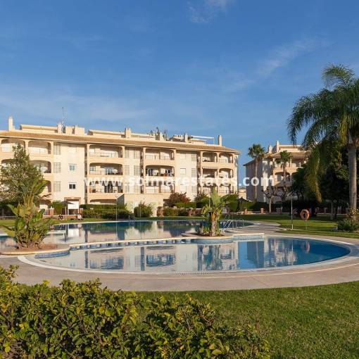 Wohnung - Resale - Playa Flamenca - Laguna Golf