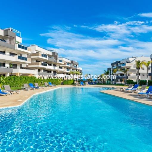 Wohnung - Resale - Playa Flamenca - Res. Sunrise Deluxe