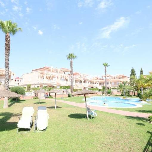 Wohnung - Resale - Playa Flamenca - Zeniamar