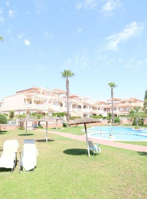 Wohnung - Resale - Playa Flamenca - Zeniamar