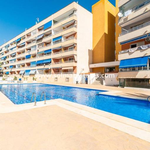 Wohnung - Resale - Punta Prima - R-96498