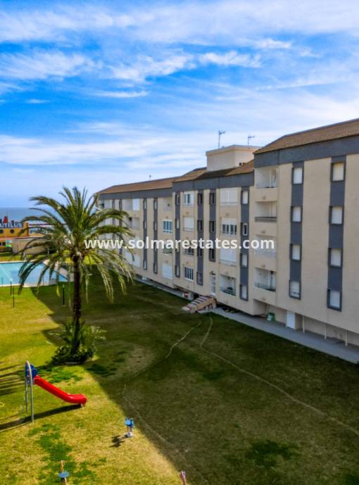Wohnung - Resale - Punta Prima - Rocio del Mar