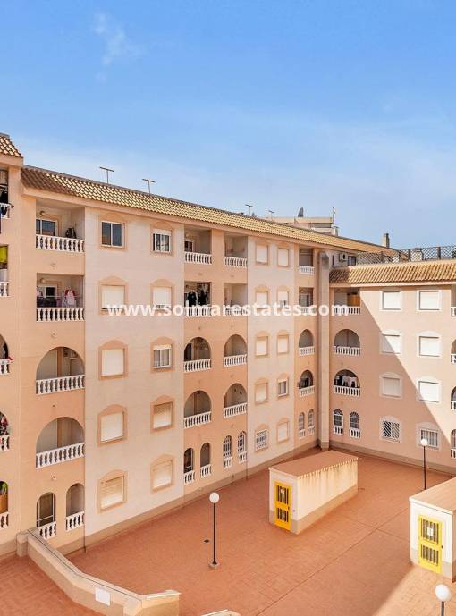Wohnung - Resale - Torrevieja - Beachside Torrevieja