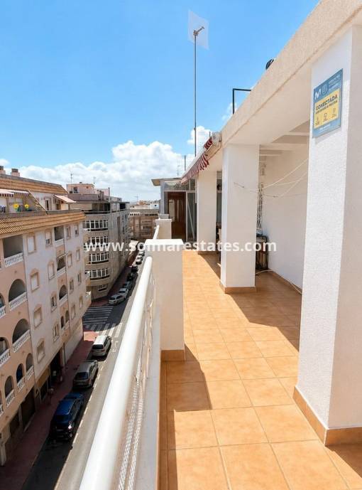 Wohnung - Resale - Torrevieja - Estacion de autobuses