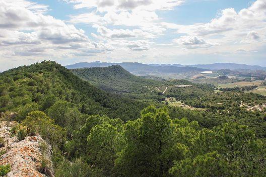 Pinar De Campoverde Pinar De Campoverde
