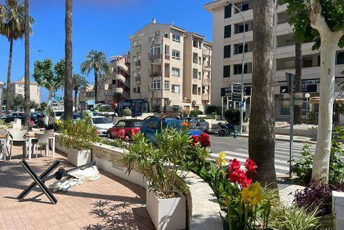 Albir Albir