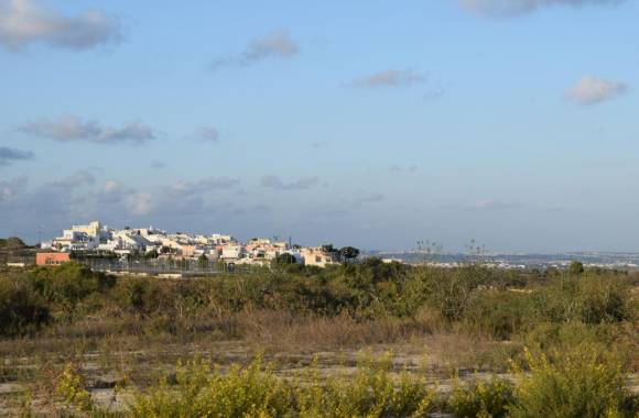 San Miguel de Salinas