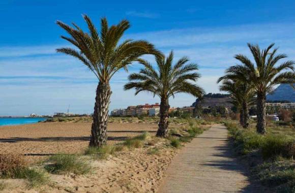 Denia